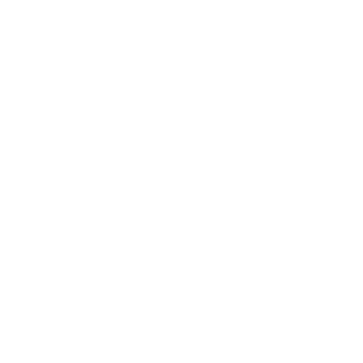 bossini